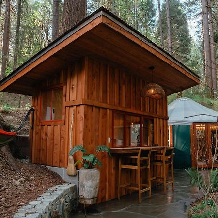 فندق Magical Yurt In The Woods - 2 Miles From Town مدينة نيفادا المظهر الخارجي الصورة