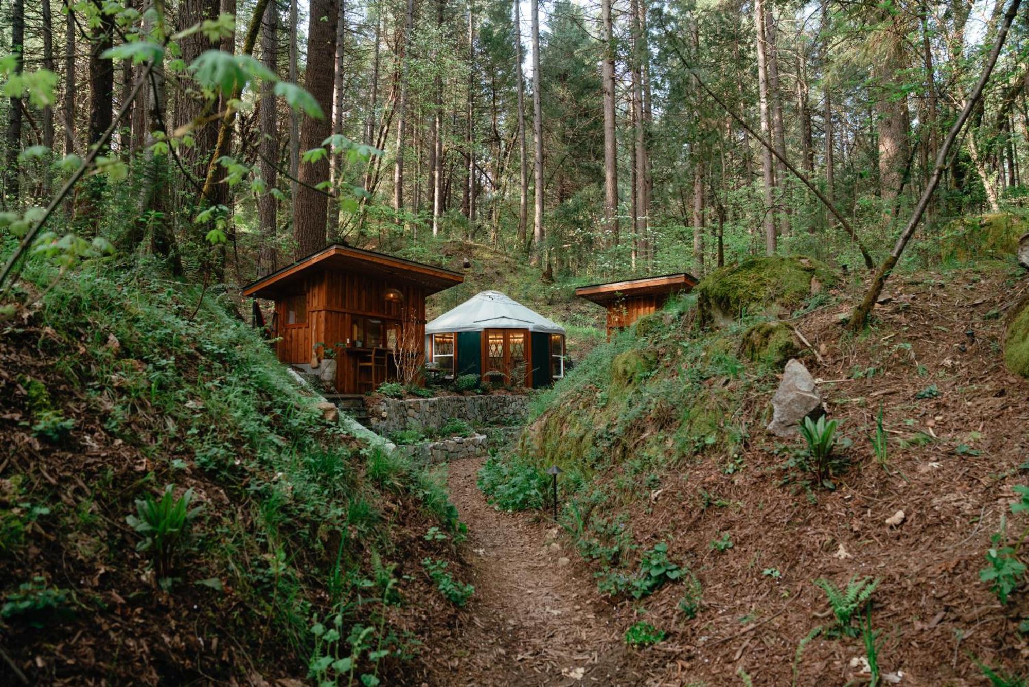 فندق Magical Yurt In The Woods - 2 Miles From Town مدينة نيفادا المظهر الخارجي الصورة
